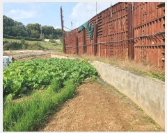  2023Ÿ��75200  �����