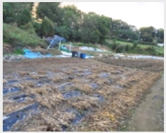  2023Ÿ��75200  �����