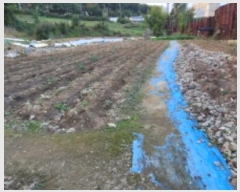  2023Ÿ��75200  �����