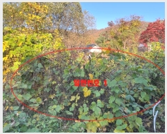  2023Ÿ75705  ֽ ź 454 111      ð