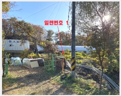  2023Ÿ75705  ֽ ź 454 111      ð