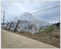  2023Ÿ��9289 ��� ����� ���籸 ���굿 702      ����(��)���