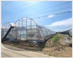  2023Ÿ��9289 ��� ����� ���籸 ���굿 702      ����(��)���