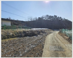  2023Ÿ��8828 ��� ���ֽ� ������ ���ָ� 194-2      ����(��1)���