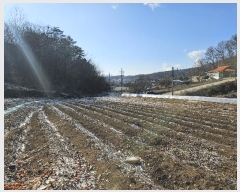  2023Ÿ��8828 ��� ���ֽ� ������ ���ָ� 194-2      ����(��1)���