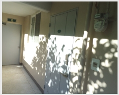  2023Ÿ��67261  ����Ʈ���