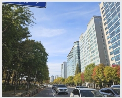  2023Ÿ75163   ϻ굿 ȣ 678, 4 409ȣ (׵, ϻＺƮ)  ǽڰ