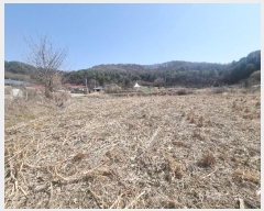  2023Ÿ��6945  ����