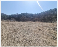  2023Ÿ��6945  ����