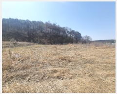  2023Ÿ��6945  ����