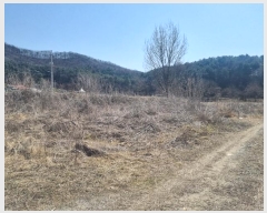  2023Ÿ��6945  ����