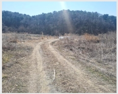  2023Ÿ��6945  ����