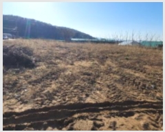  2023Ÿ��7627 ��� ���ֽ� ź���� ������ 188-2      ����(��1)���