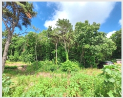  2023Ÿ��57049  �Ӿ߰��