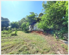  2023Ÿ��57049  �Ӿ߰��