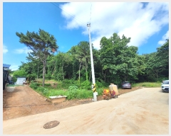  2023Ÿ��57049  �Ӿ߰��