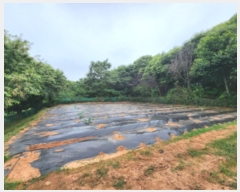  2023Ÿ��57049  �Ӿ߰��