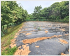  2023Ÿ��57049  �Ӿ߰��