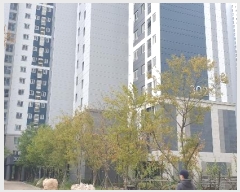  2023Ÿ63532   з 172-20, 302 292902ȣ (յ,Ѷߵķ۽3)    Ʈ