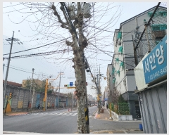  2023Ÿ101128  Ⱦ ȱ ȷ340 78,  4403ȣ (Ⱦ絿,)   ,繫ǰ