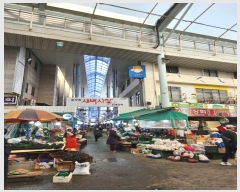  2023Ÿ��5046  �������