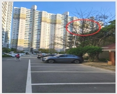  2023Ÿ107935 λ ϱ ٴ 473, 107 202006ȣ (ٴ뵿,ٴƮ)    Ʈ