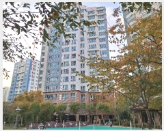  2023Ÿ��109122 �λ� ������ �������ǽ�Ƽ11�� 51, 317�� 3��302ȣ (������,����� ����1�� ���ν�Ÿ�� Ÿ��) ����Ʈ���