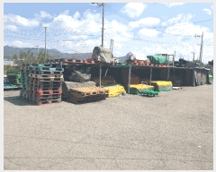  2023Ÿ��5640  â�����