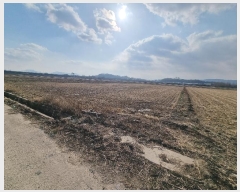  2023Ÿ110856 λ  ׸ 282       ()