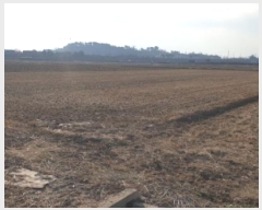  2023Ÿ110856 λ  ׸ 282       ()