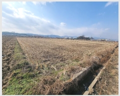  2023Ÿ110856 λ  ׸ 282       ()