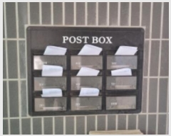  2023Ÿ��696  ����