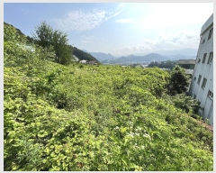  2023Ÿ��70107 ��� ���� ���Ǹ� ���̸� 429-1      ����(��1)���