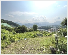  2023Ÿ��70107 ��� ���� ���Ǹ� ���̸� 429-1      ����(��1)���