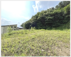  2023Ÿ��70107 ��� ���� ���Ǹ� ���̸� 429-1      ����(��1)���