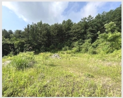  2023Ÿ��70107 ��� ���� ���Ǹ� ���̸� 429-1      ����(��1)���