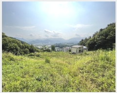  2023Ÿ��70107 ��� ���� ���Ǹ� ���̸� 429-1      ����(��1)���