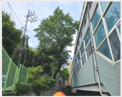  2023Ÿ��3411  �Ӿ߰��