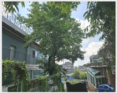  2023Ÿ��3411  �Ӿ߰��