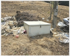  2023Ÿ��3411  �Ӿ߰��