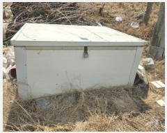  2023Ÿ��3411  �Ӿ߰��