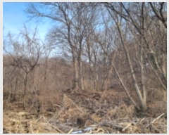  2023Ÿ��79289  �Ӿ߰��