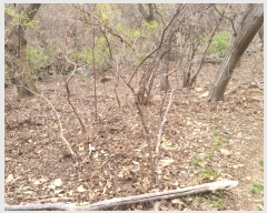  2023Ÿ��1019 ��� ���� û��� ȣ���� 8-1      ����(��)���