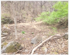  2023Ÿ��1019 ��� ���� û��� ȣ���� 8-1      ����(��)���