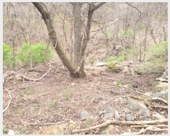  2023Ÿ��1019 ��� ���� û��� ȣ���� 8-1      ����(��)���