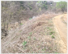  2023Ÿ��1019 ��� ���� û��� ȣ���� 8-1      ����(��)���