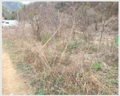  2023Ÿ��1019 ��� ���� û��� ȣ���� 8-1      ����(��)���