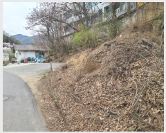  2023Ÿ��1019 ��� ���� û��� ȣ���� 8-1      ����(��)���