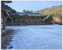  2023Ÿ81367     919-1      ٸü,󰡰