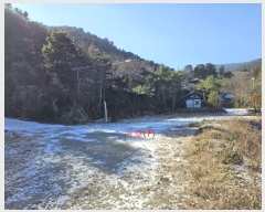  2023Ÿ81367     919-1      ٸü,󰡰